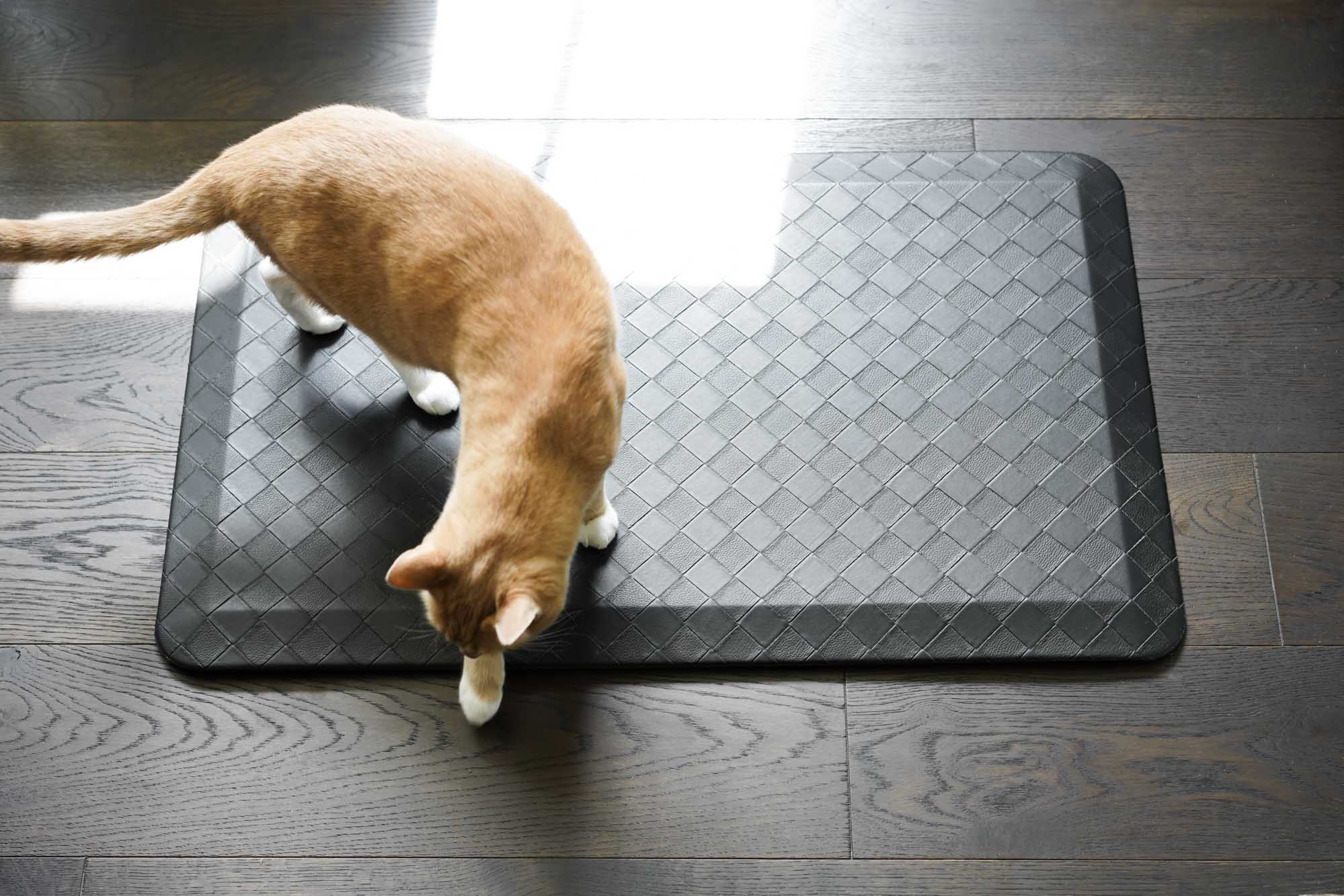 The Best Anti-Fatigue Mats of 2022 - Reviews by Your Best Digs