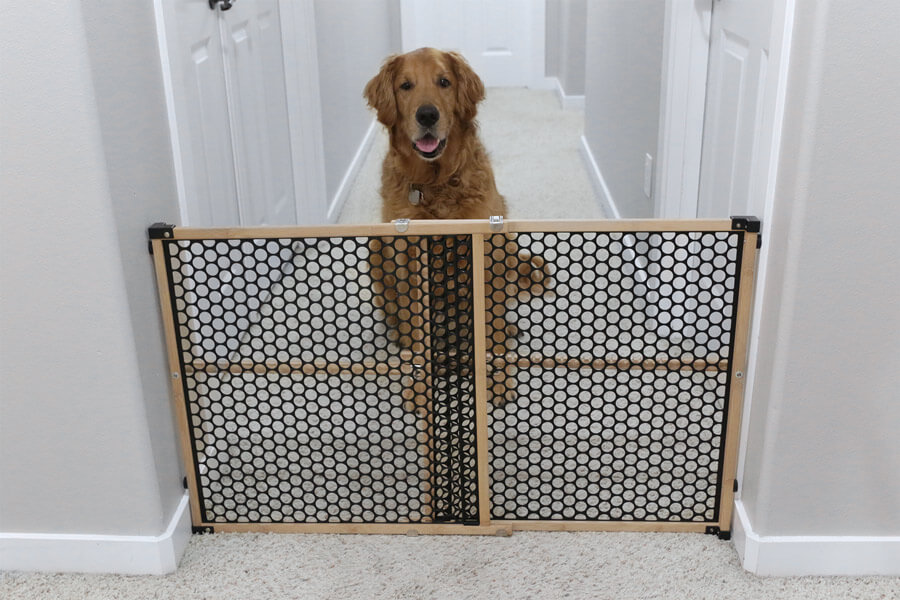 safety 1st pet gate with dog sitting behind
