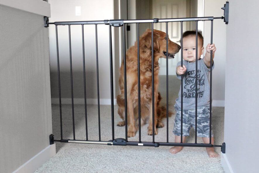 North States gate with baby and dog