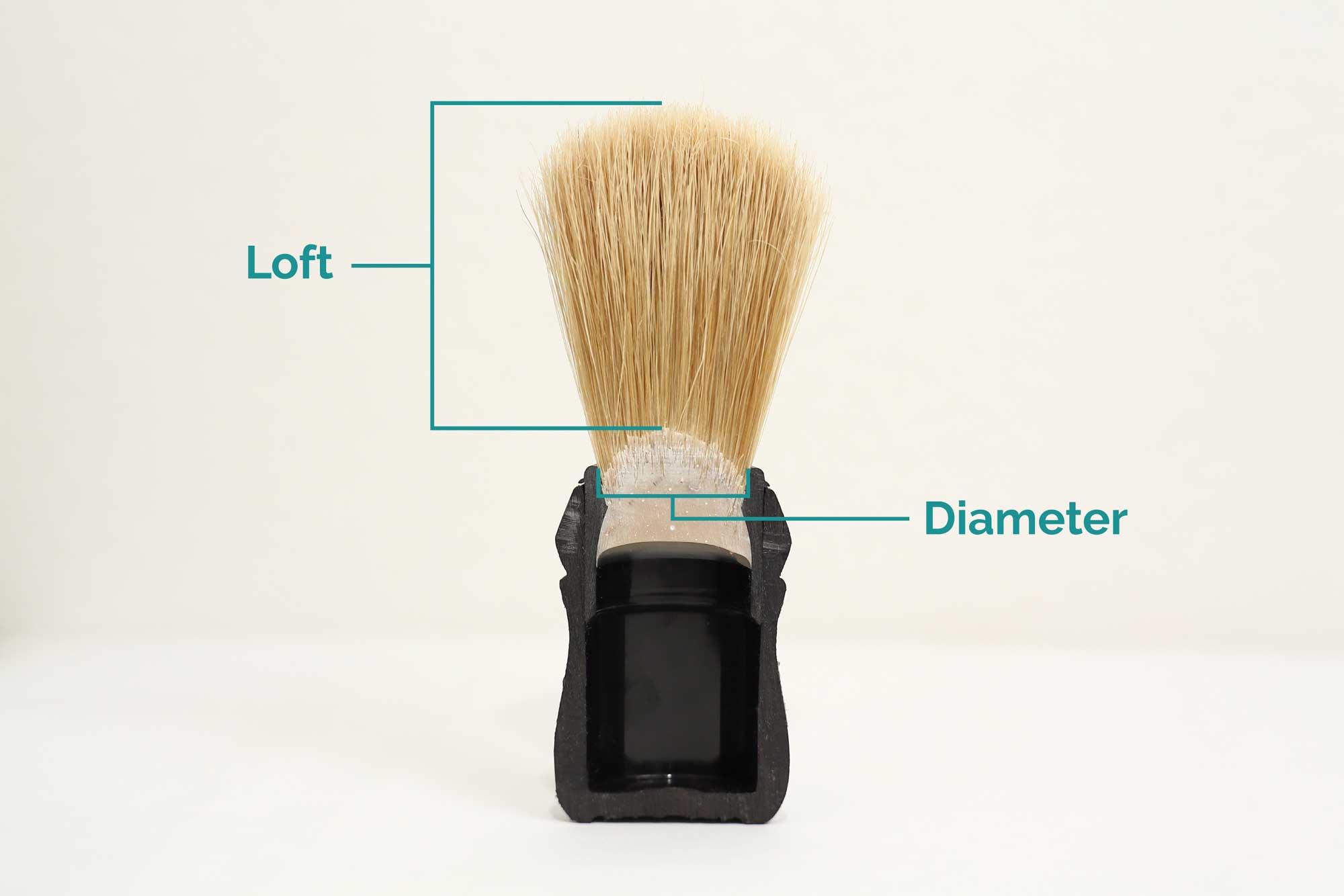 cutaway / inside view of a shaving brush
