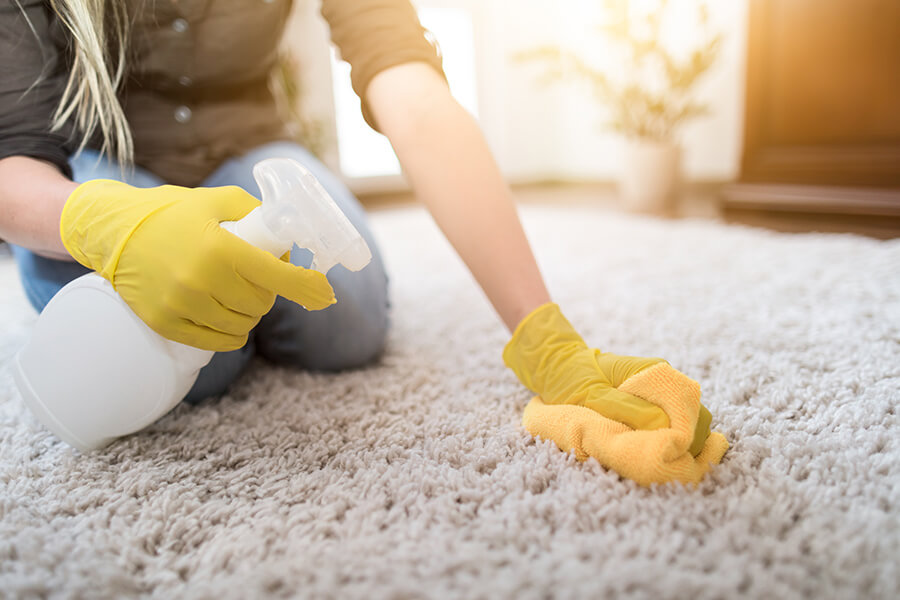 The Best Carpet Stain Remover Hacks Your Digs