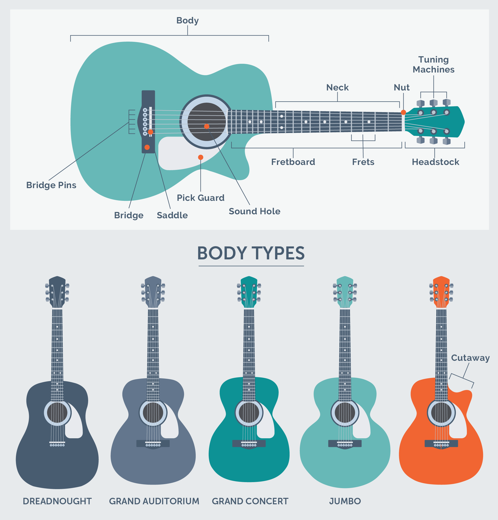 Illustration showing guitar sizes and shapes
