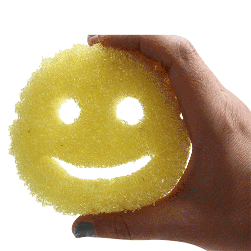 Scrub Daddy Review: Is the TikTok-Viral Sponge Worth the Hype?