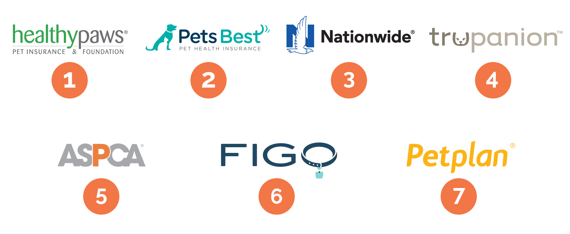 The Best Pet Insurance of 2023 - Reviews by Your Best Digs
