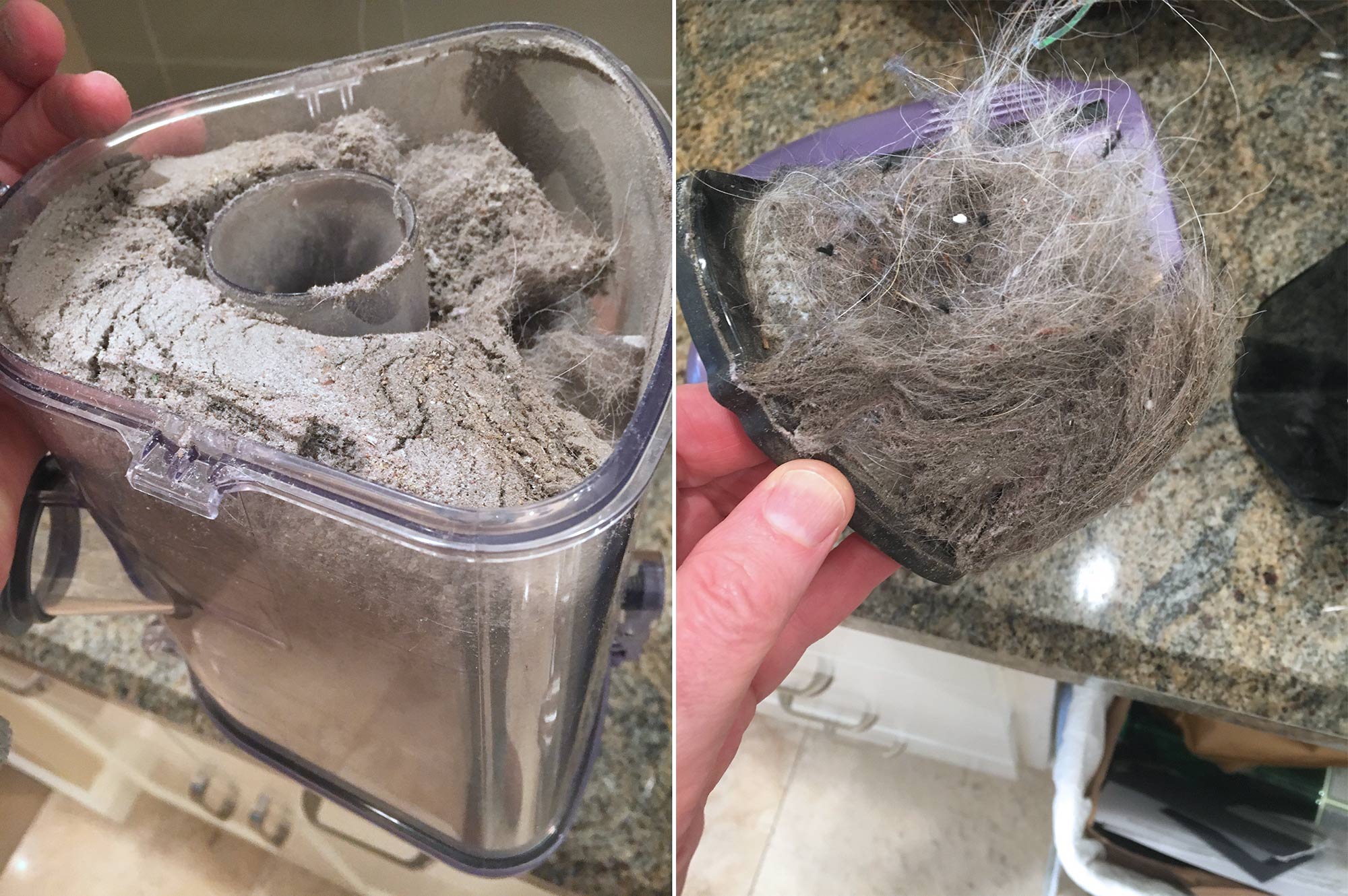 collected pet hair and dust