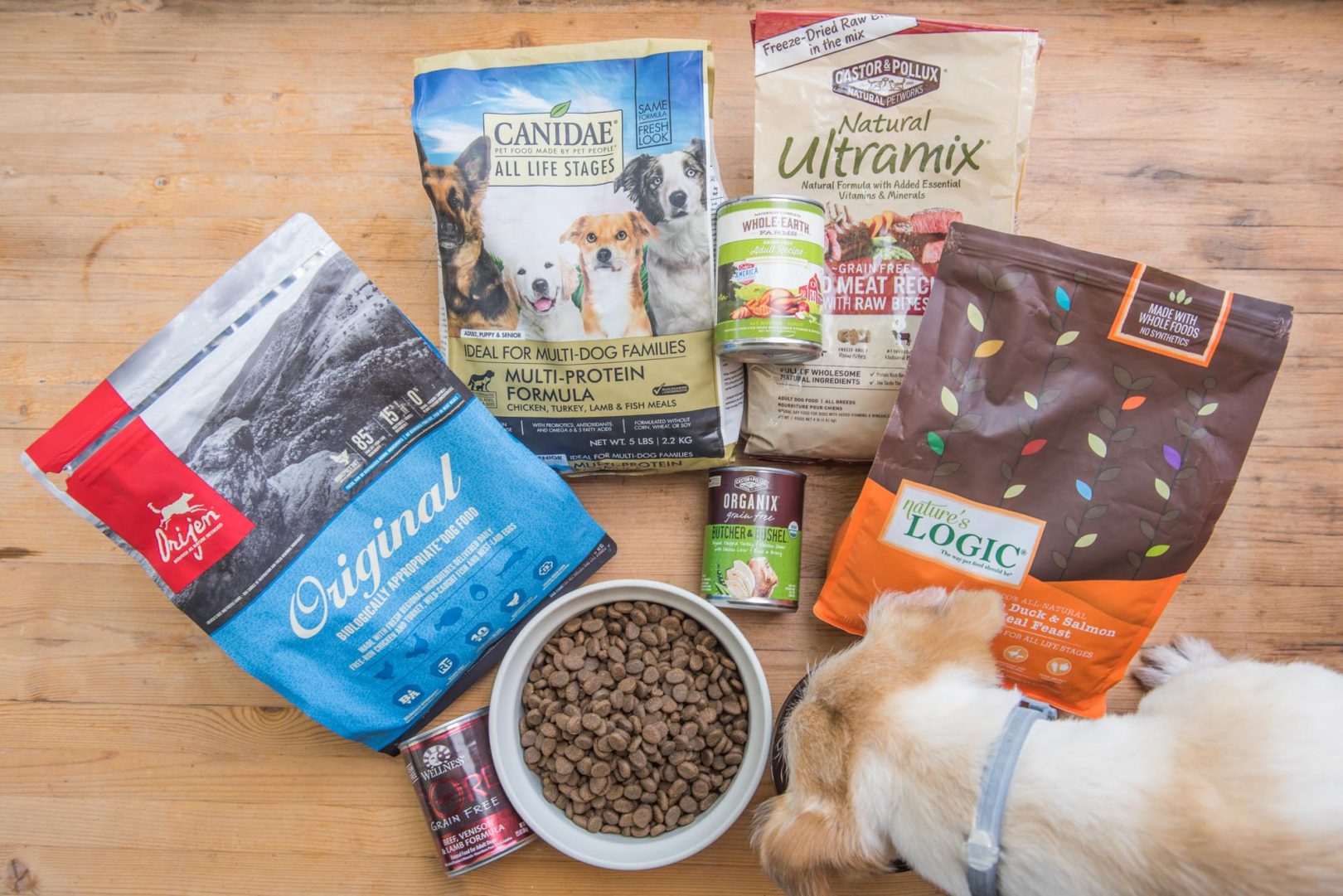 puppy food reviews