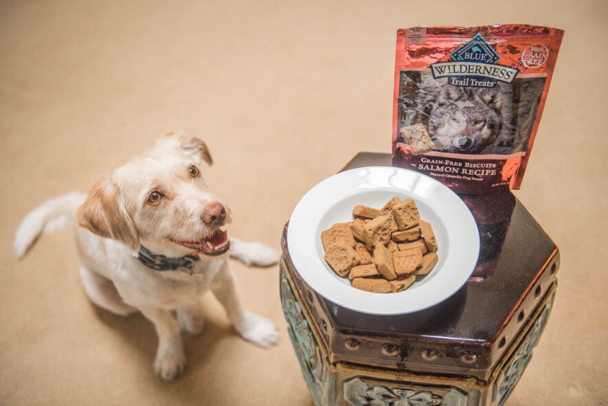 Top rated dog treats 2019 store