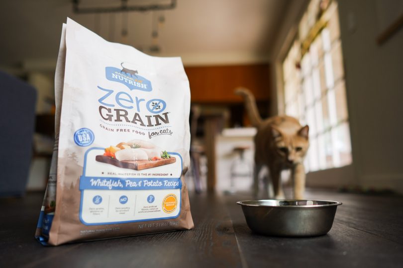 The 6 Best Cat Food Brands of 2024 - Reviews by Your Best Digs