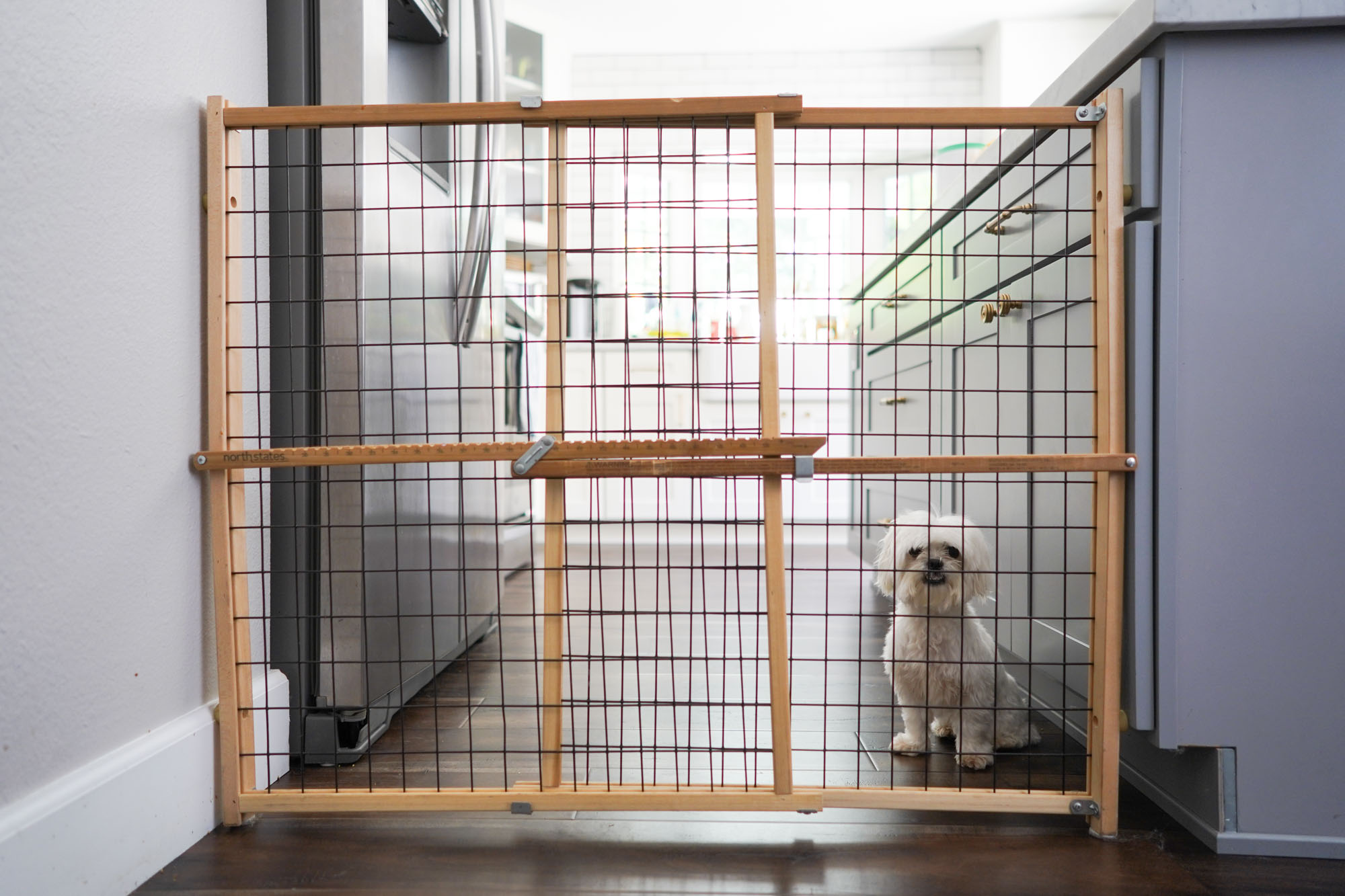 pet gate in kitchen 