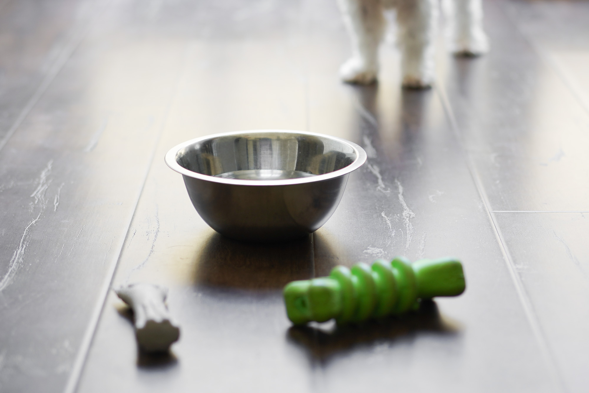 dog bowl in kitchen