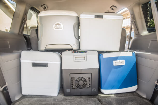 best thermoelectric cooler for car