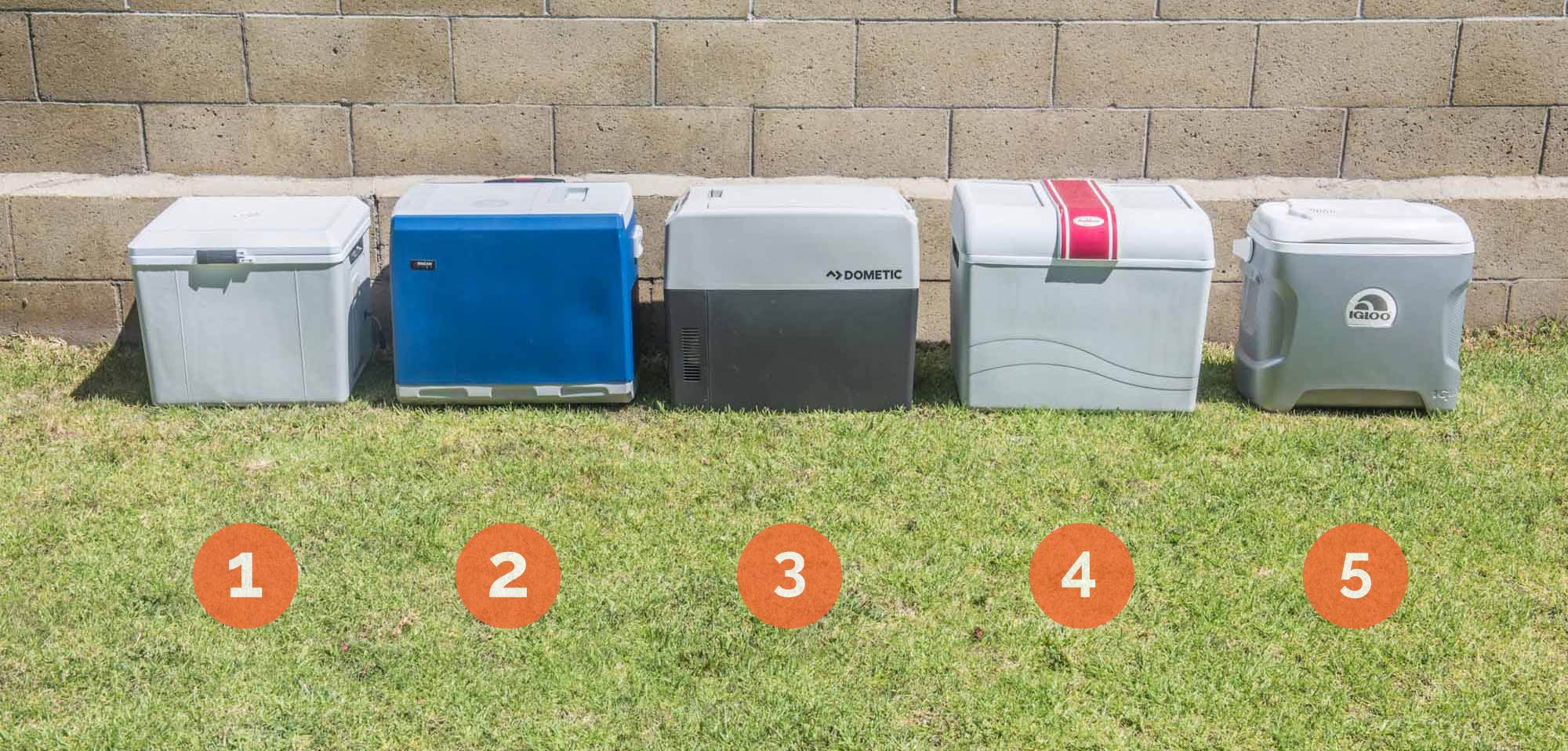 lineup of the best coolers