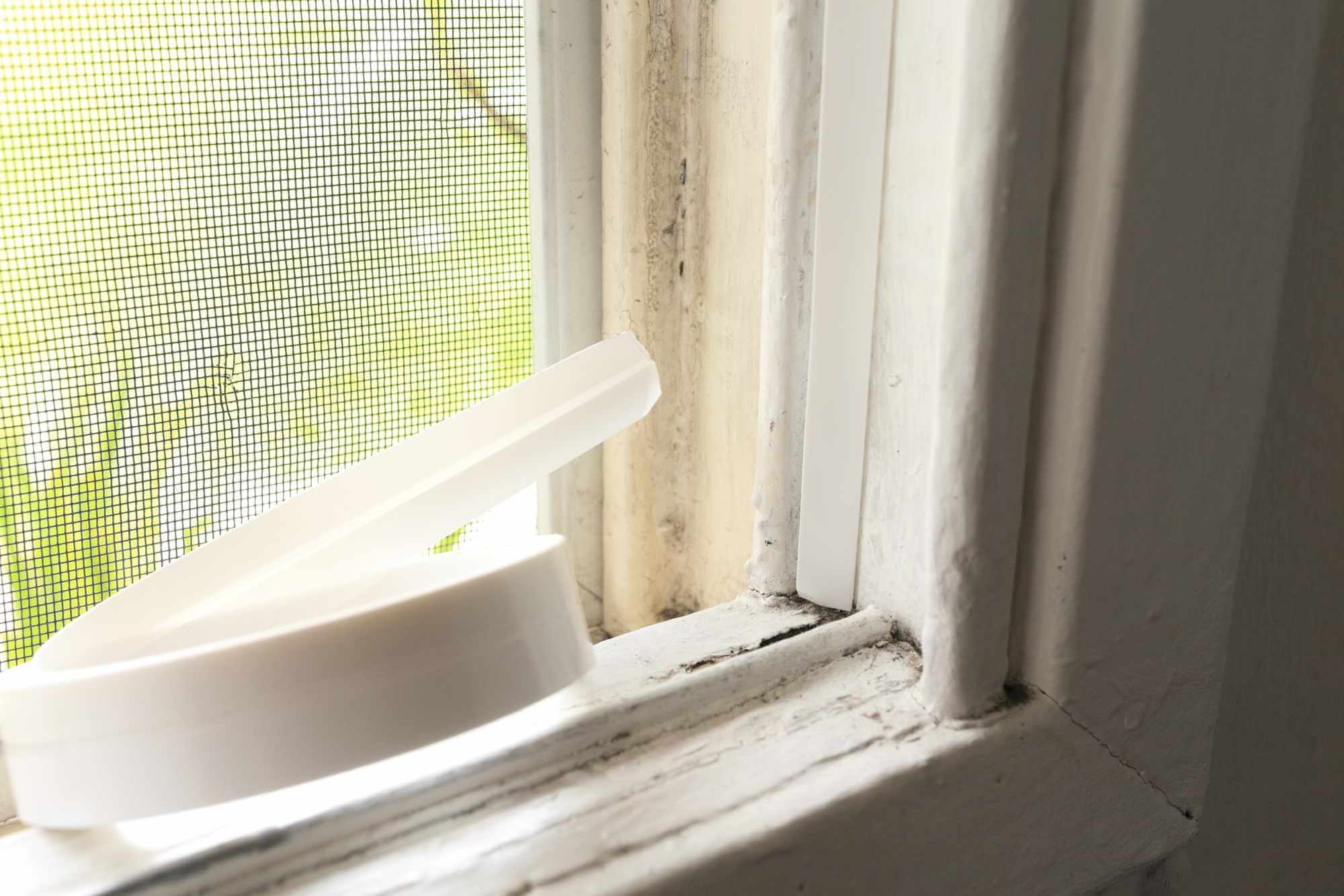 Spray Foam vs. Foam Strips Window Insulation: Which is Better?