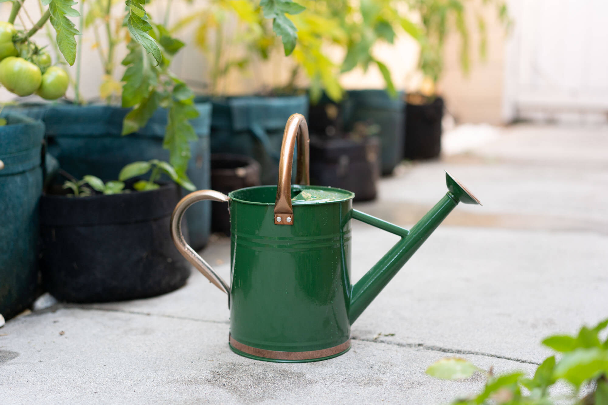 The 8 Best Outdoor Watering Cans of 2024 Reviews by Your Best Digs