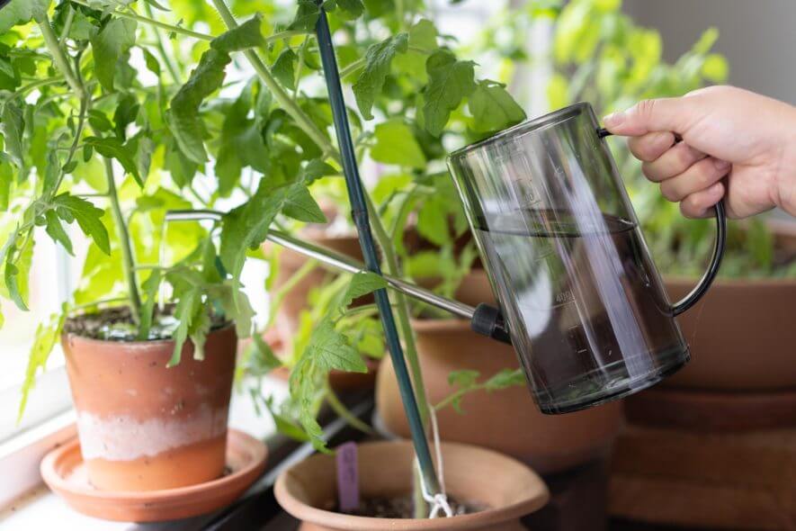 Brilliest - clear watering can