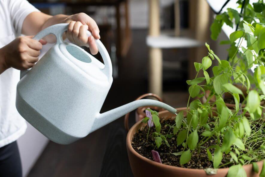 Fasmov watering can