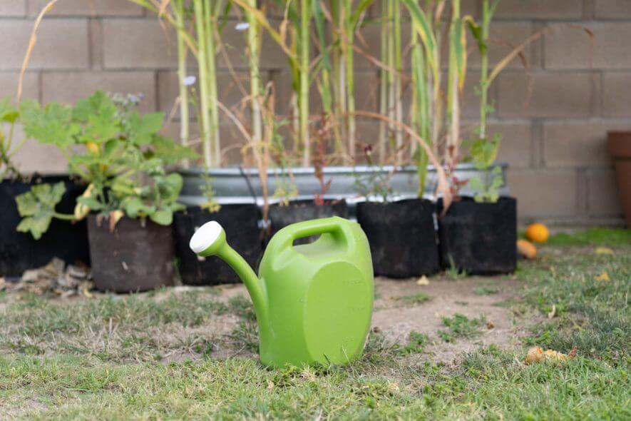 Home Depot 2 gallon watering can
