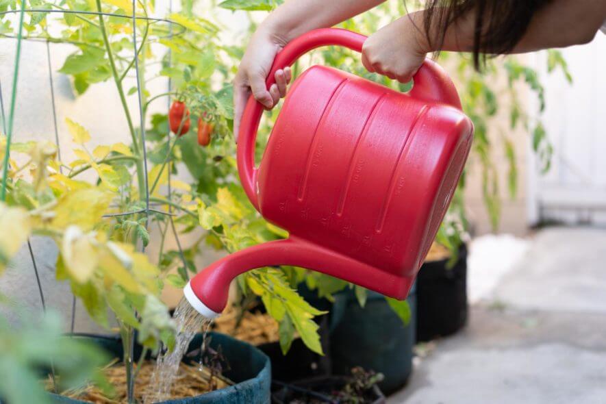 Novelty - red watering can