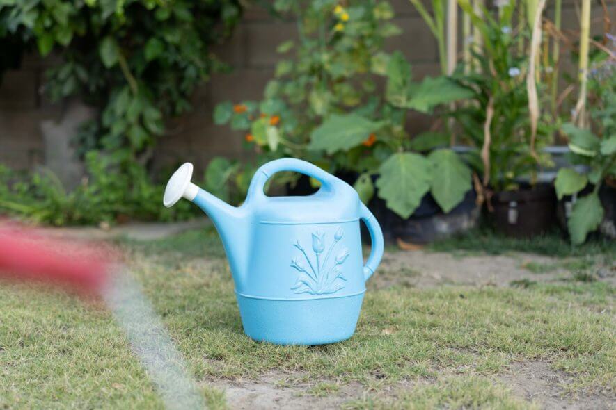Union blue plastic watering can