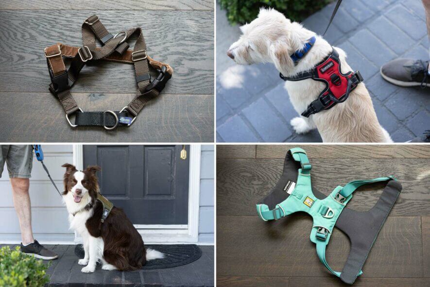 11 Best Dog Harnesses of 2023 - Top Dog Vests for Walks and Cars