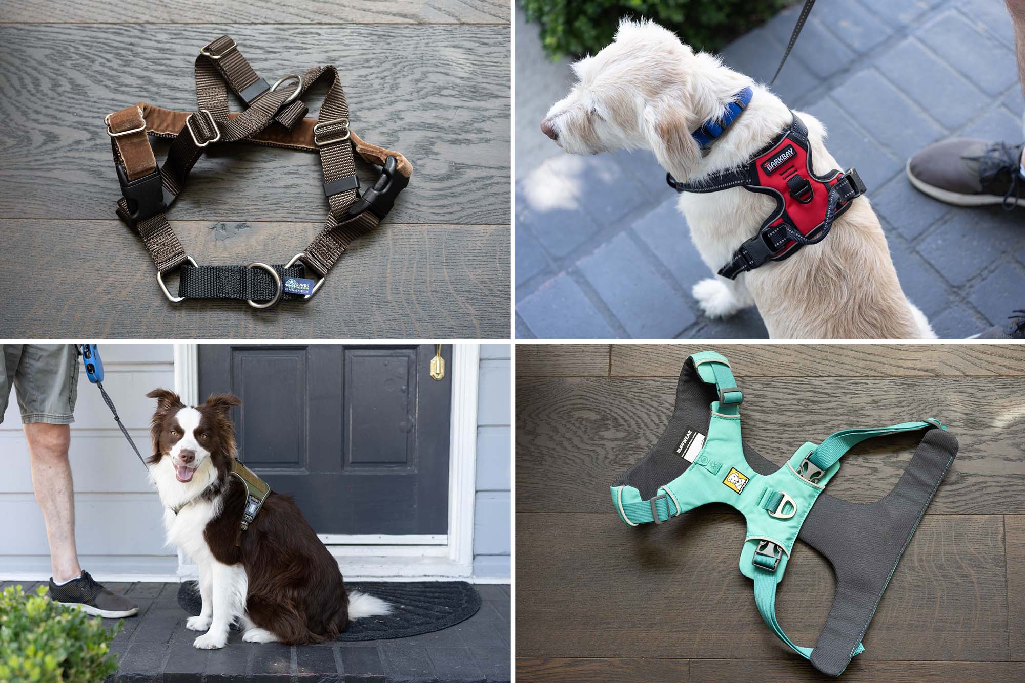 The Good Dog's Ultimate Leash - The Good Dog Way