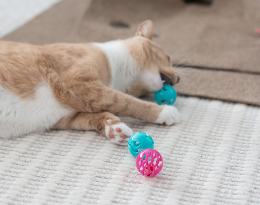 Hartz - Just For Cats Midnight Crazies Toy Balls