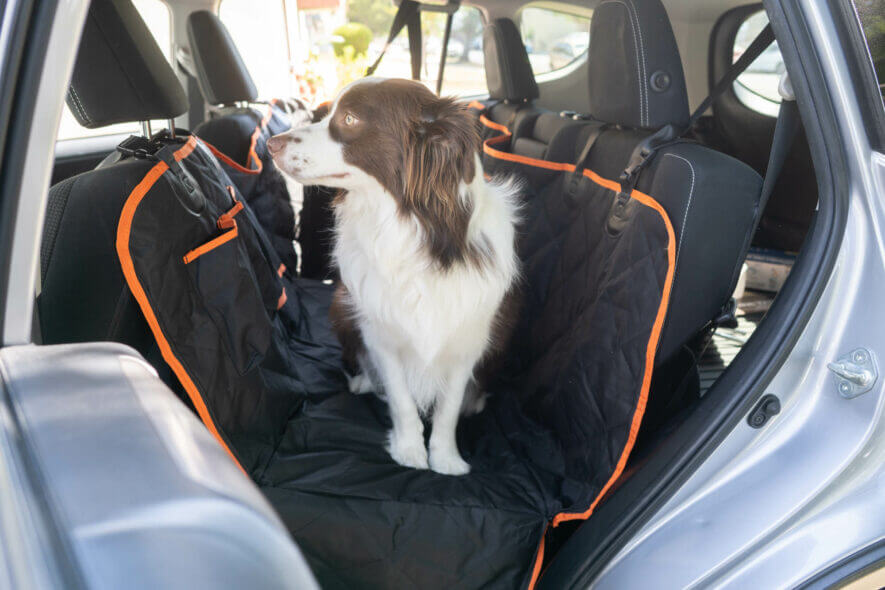 iBuddy car seat protector