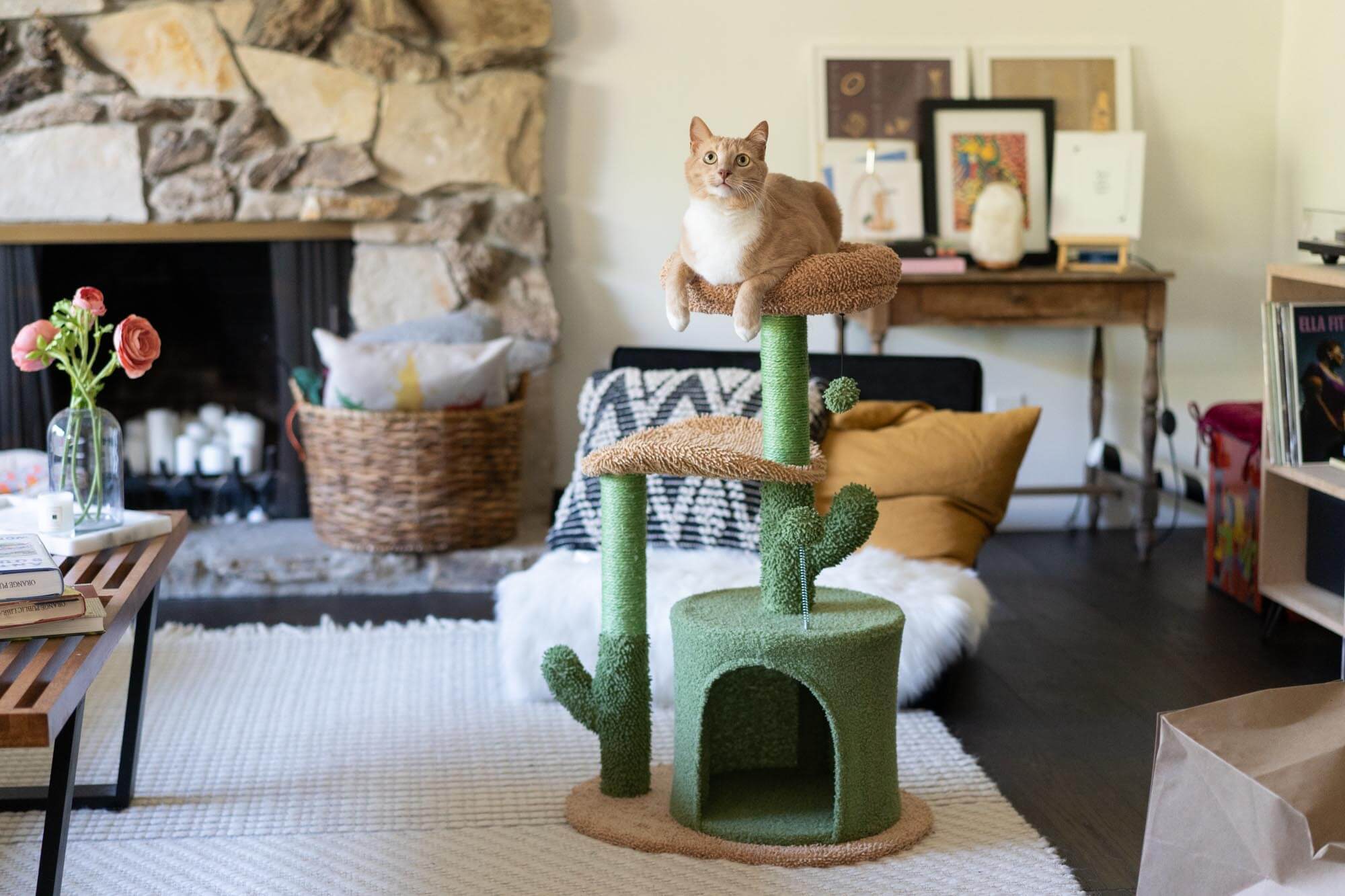 The 7 Best Cat Trees of 2025 (Cat Tested!) Your Best Digs