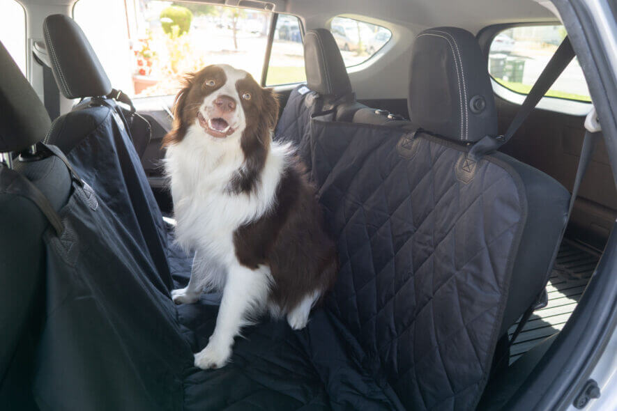 Plush Paws - back seat protector