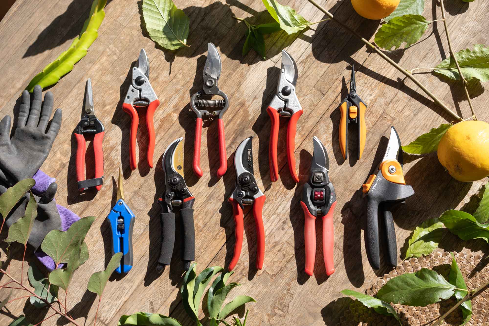 The 10 Best Pruning Shears 2024 (Real Garden Tested!)