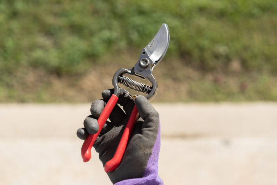 Pruner Shears For the Garden - Our Best Hand Pruners - Carbon Steel – The  Celtic Farm