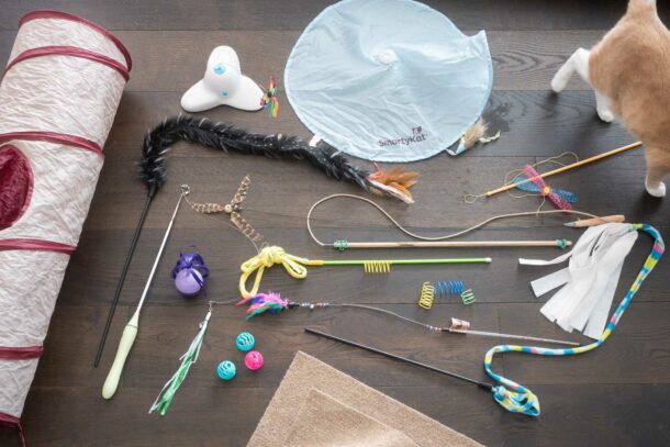 best cat toys