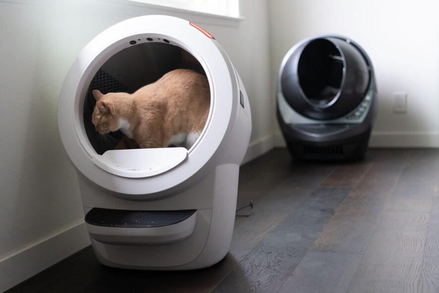 Litter-Robot 4 vs 3