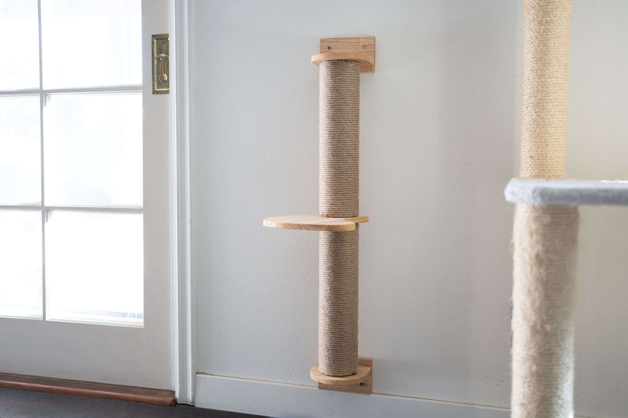 The 8 Best Cat Scratchers 2024 Reviews by Your Best Digs