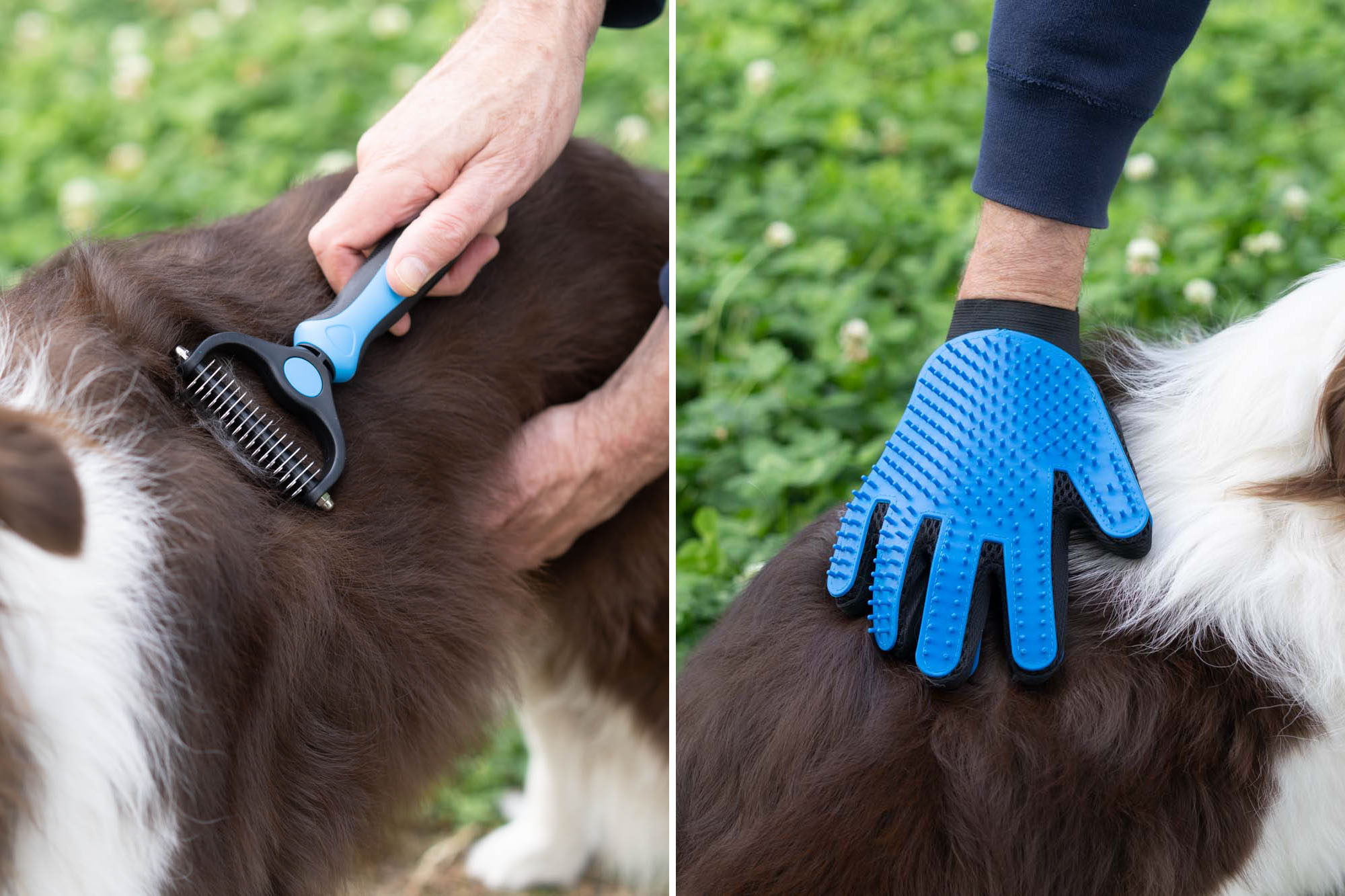 The 8 Best Dog Shedding Brushes of 2024 Reviews by Your Best Digs