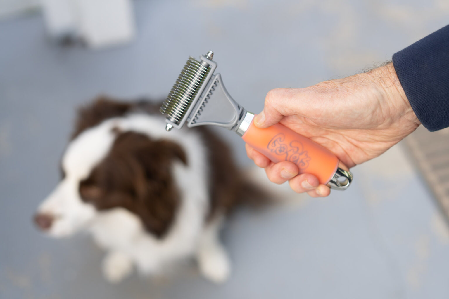 The 8 Best Dog Shedding Brushes of 2024 Reviews by Your Best Digs